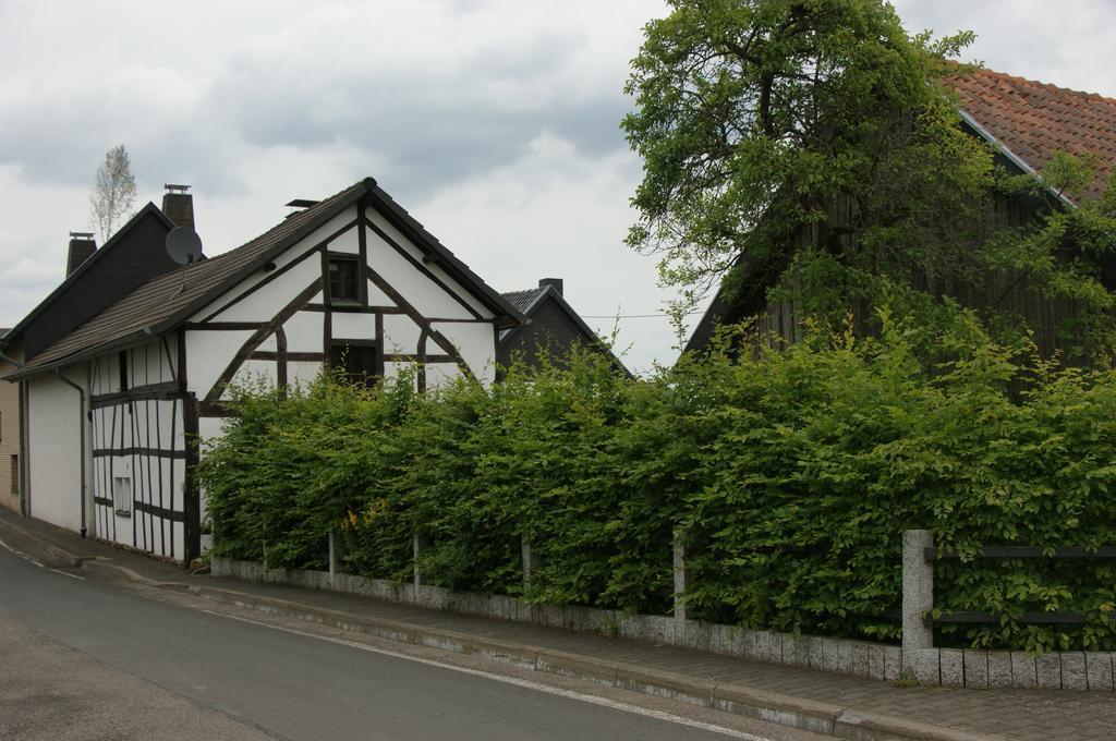 Authentiek Eifelhuis Hecken 客房 照片